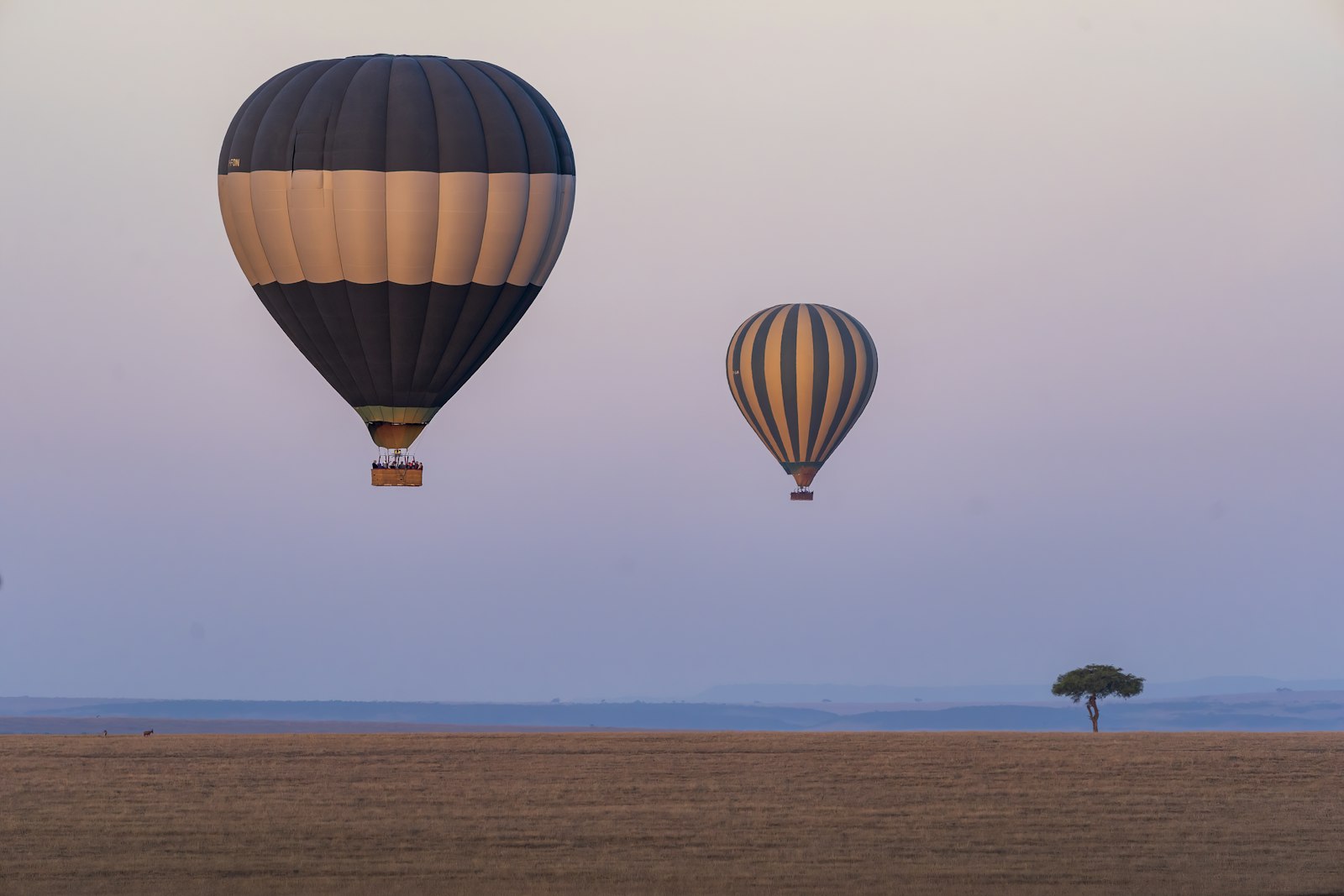 Two hot air balloons drifting over the African plains at soft pastel dawn with a lone acacia tree on the horizon